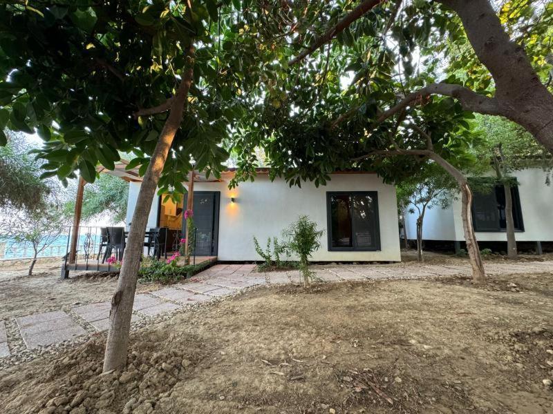 Otelox Ayas Beach Bungalov Erdemli Buitenkant foto